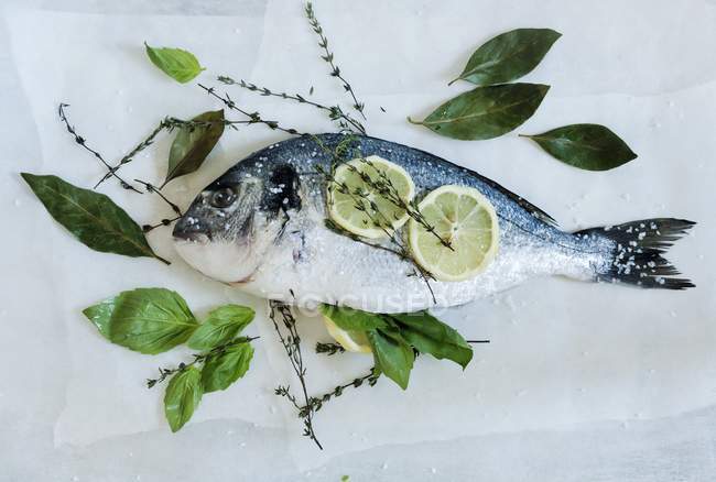 Свіжа лаврова риба з сіллю — стокове фото