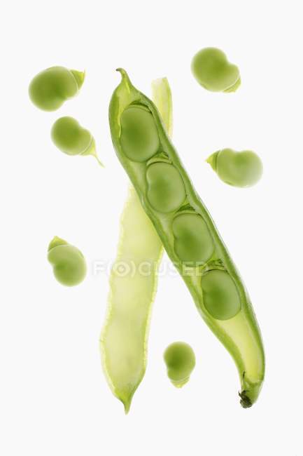 Fresh Broad beans in pod — Stock Photo