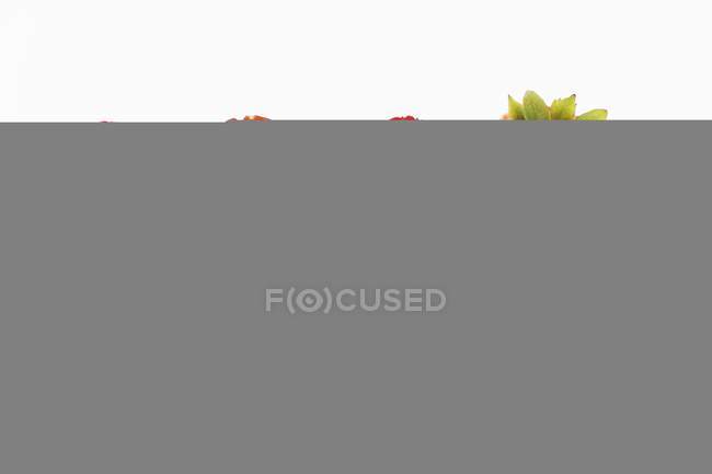 Fila di fette di fragola — Foto stock