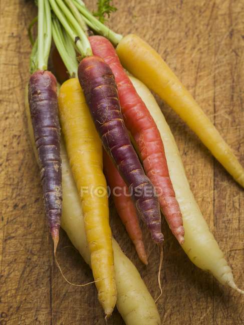 Multi-colored carrots with stalks — Stock Photo