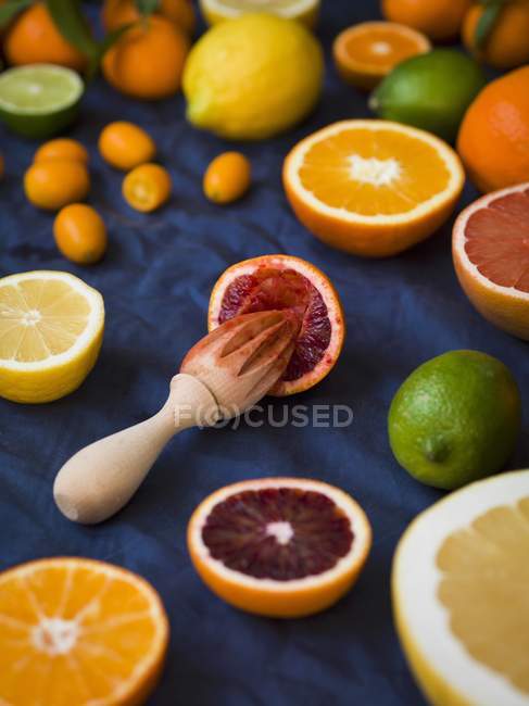 Toronja a la mitad con limón y naranjas - foto de stock