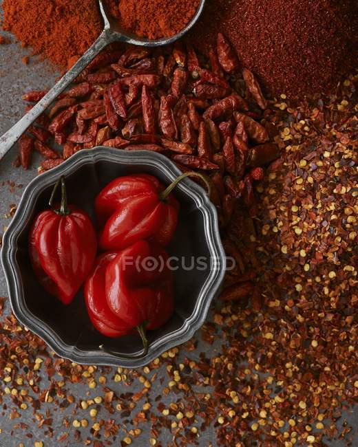 Top view of an arrangement of whole, grated and powdered chilli peppers — Stock Photo
