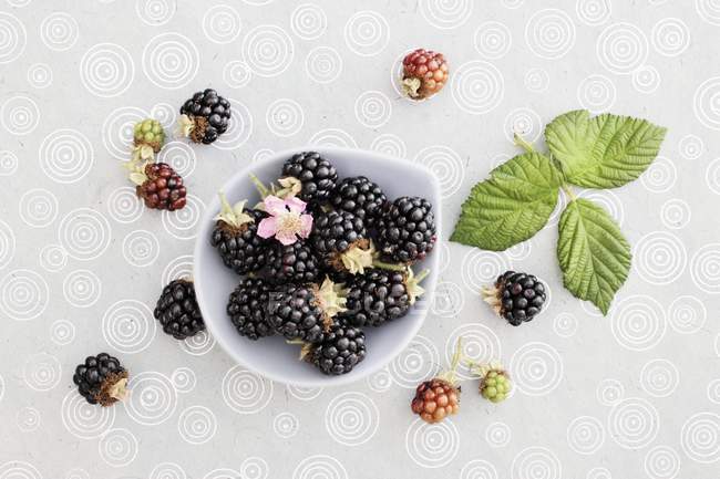 Blackberries with flowers and leaves — Stock Photo