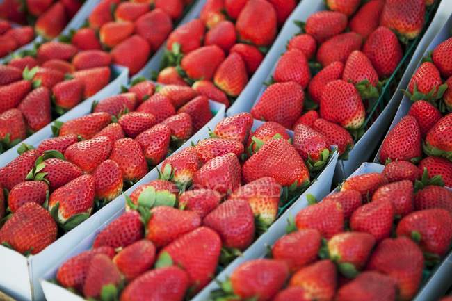 Fresas en Farmer Market - foto de stock