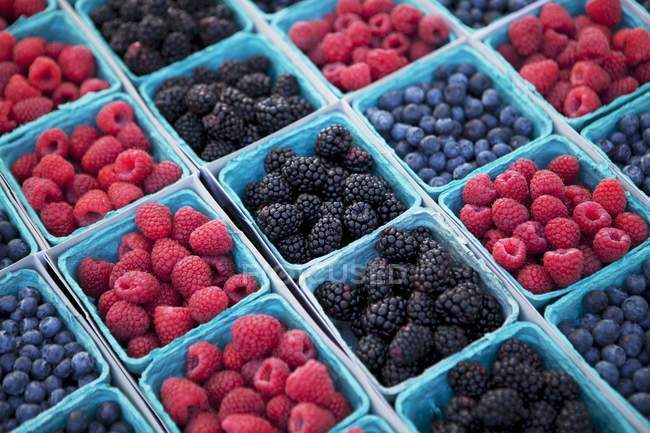 Raspberries and Blackberries at Market — Stock Photo