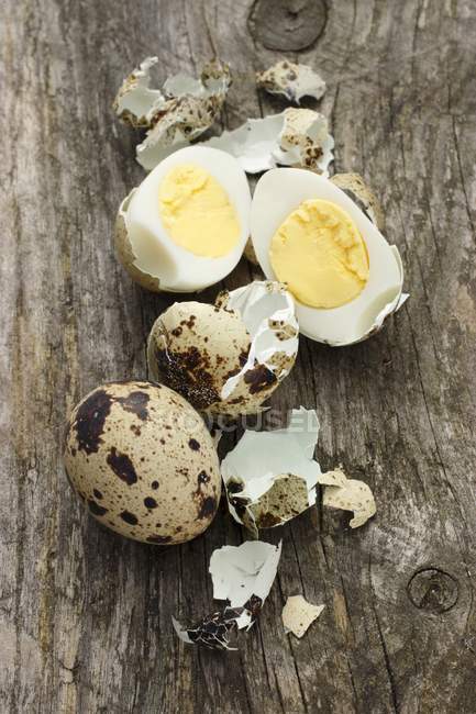 Boiled quails eggs with eggshell — Stock Photo