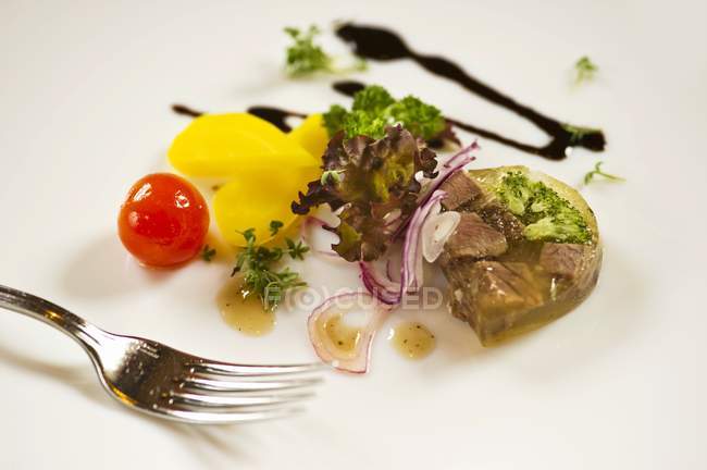 Beef in aspic with vegetables — Stock Photo