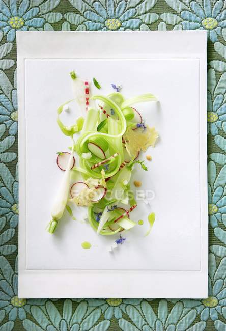 Salade de céleri et radis sur assiette blanche sur tissu — Photo de stock