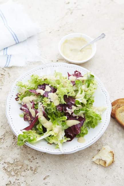 Elevated view of mixed leaf salad with mayonnaise dressing — Stock Photo