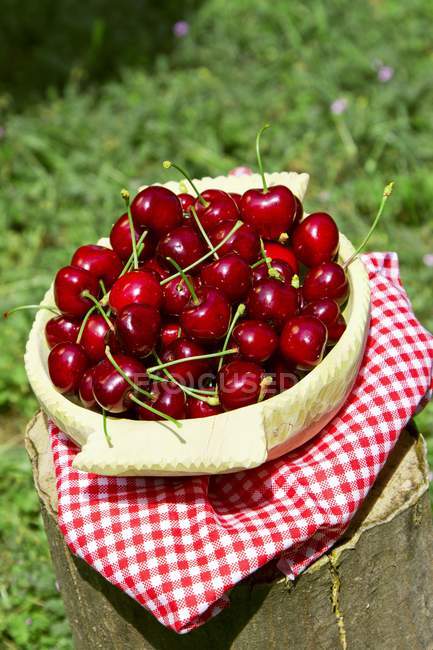 Fresh cherries in basket — Stock Photo