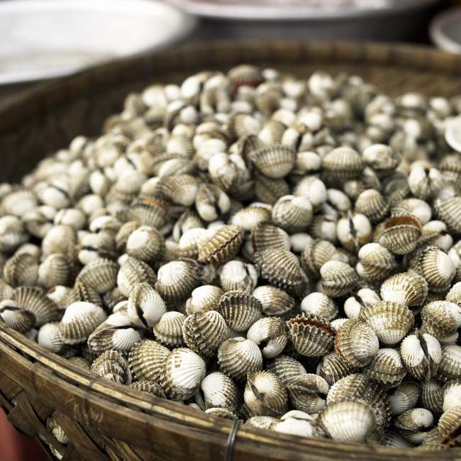 Closeup view of bay scallops heap in wicker bowl — Stock Photo
