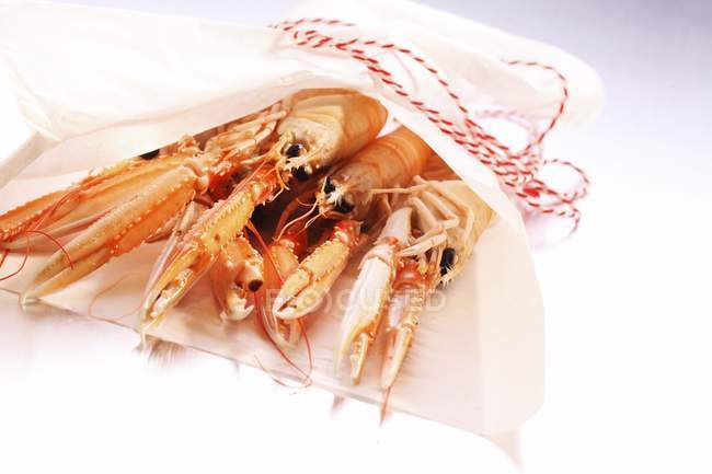 Closeup view of scampi in tied paper bag — Stock Photo