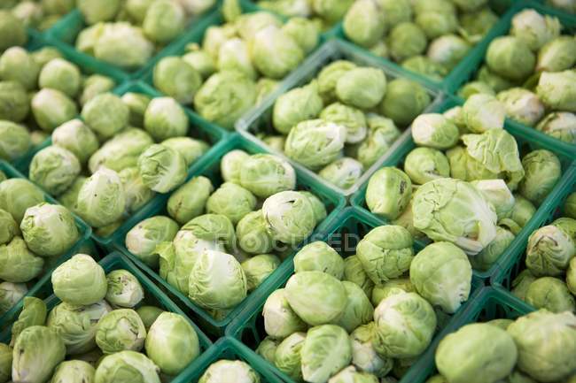 Baskets of Fresh Sprouts — Stock Photo