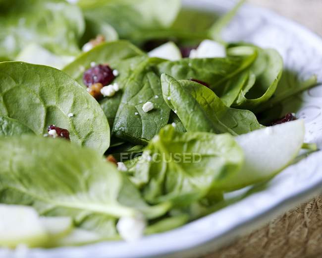 Salat mit frischem Spinat — Stockfoto