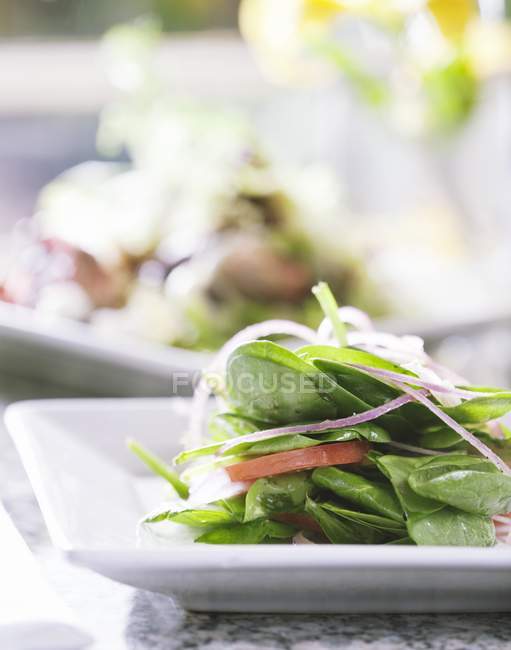 Одноразовая подача шпинатного салата с луком и помидором на белой тарелке — стоковое фото
