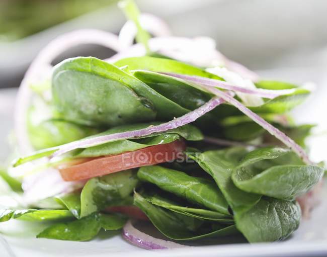 Салат со шпинатом с луком и помидором, крупным планом — стоковое фото