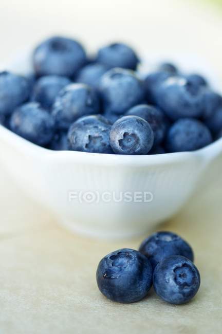 Fresh ripe Blueberries in white bowl — Stock Photo