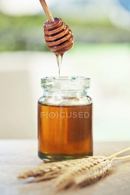 Honey with honey dipper — Stock Photo