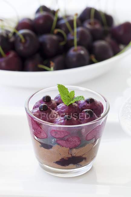 Sorbetto di ciliegie sulla mousse al cioccolato — Foto stock