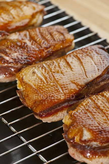 Grilled Duck breasts — Stock Photo
