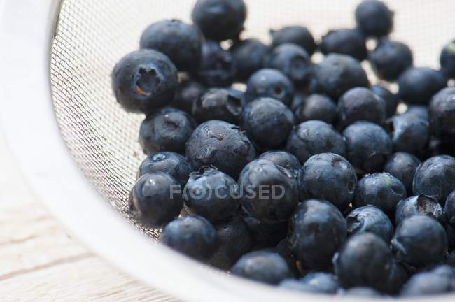 Fresh Blueberries in sieve — Stock Photo