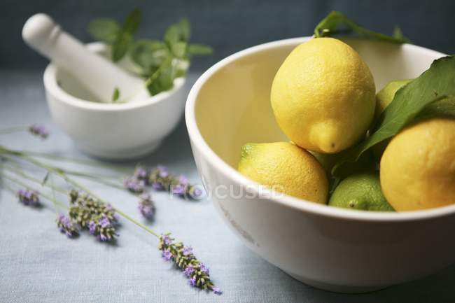 Миска свежих лимонов с листьями — стоковое фото