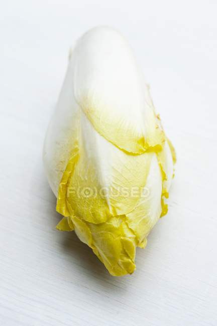 Tête de chicorée sur fond blanc — Photo de stock