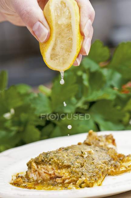 Salmon trout with crust — Stock Photo