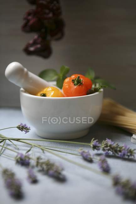 Lavender and raw pasta — Stock Photo