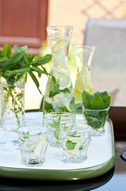 Lemonade with fresh mint — Stock Photo