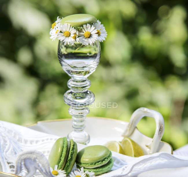 Зелений десертів з ромашками — стокове фото