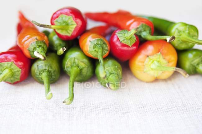 Assorted Fresh Peppers — Stock Photo