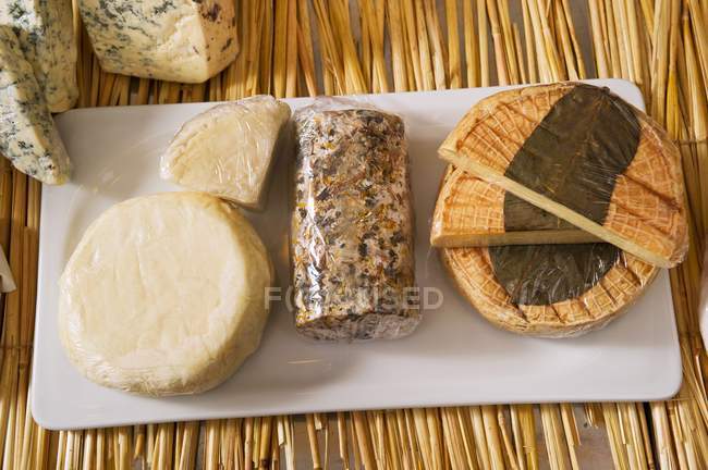 Variedades variadas de queijo — Fotografia de Stock