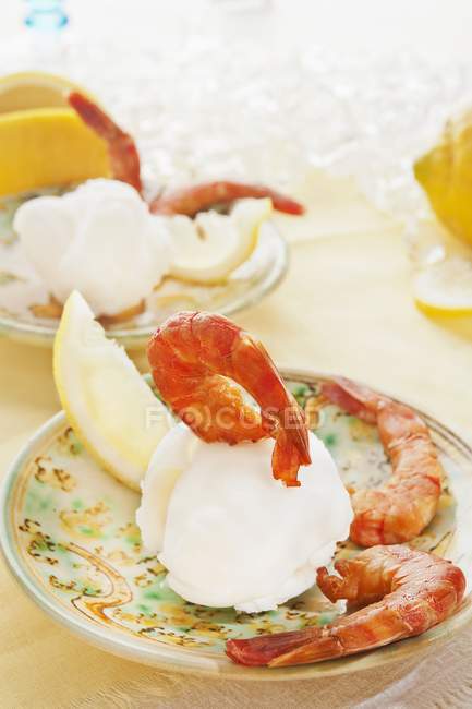 Smoked prawns on sour lemon sorbet — Stock Photo