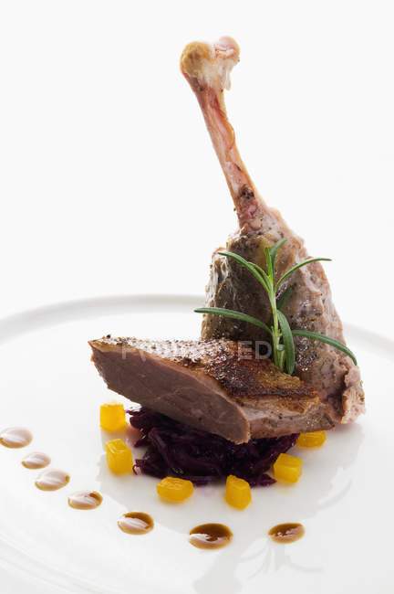 Pierna de ganso con col roja y calabaza en plato blanco - foto de stock