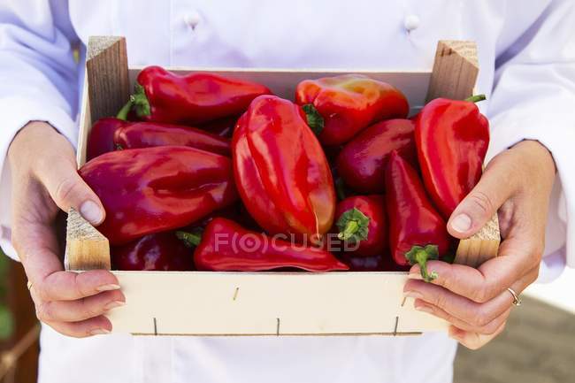 Homme tenant une caisse de poivrons rouges — Photo de stock