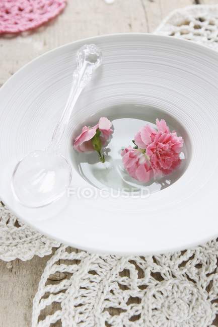Closeup view of a plastic spoon and carnations floating in a dish — Stock Photo