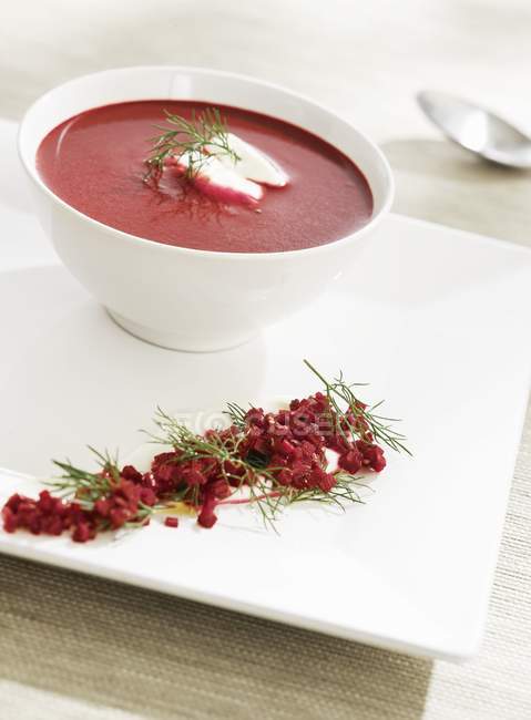 Rote-Bete-Suppe in weißer Schüssel — Stockfoto