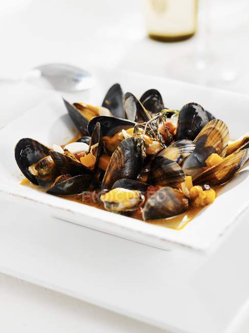 Closeup view of mussel soup on white square dish — Stock Photo