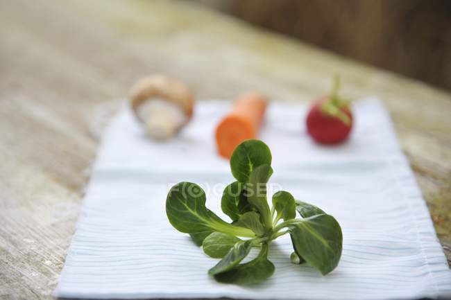 Zweig frischer Feldsalat auf Serviette — Stockfoto
