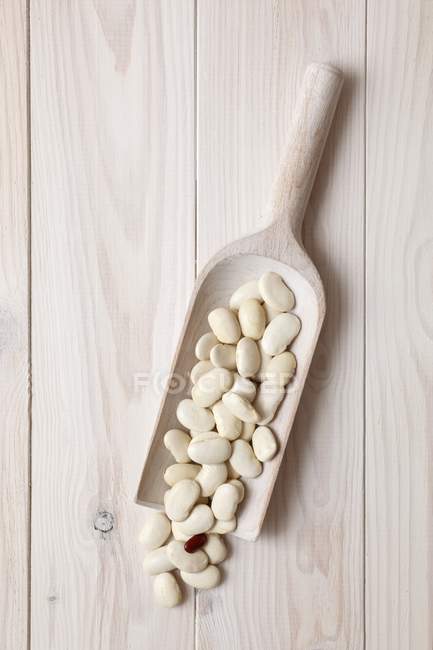 Rohe weiße Bohnen — Stockfoto
