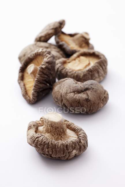 Champiñones shiitake secos - foto de stock