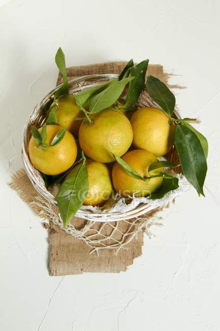 Mandarinas con hojas en cesta - foto de stock