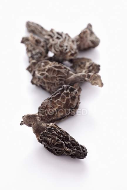 Dried pointed morel mushrooms — Stock Photo
