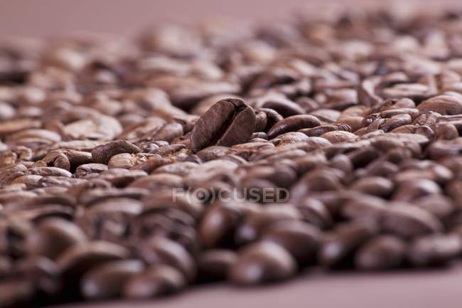 Granos de café enteros asados - foto de stock