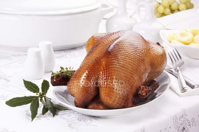 Festive roast goose — Stock Photo