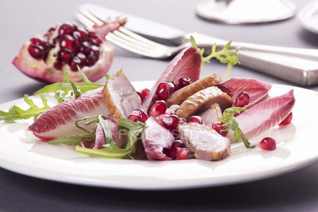 Closeup view of goose breast with pomegranate seeds on radicchio salad — Stock Photo