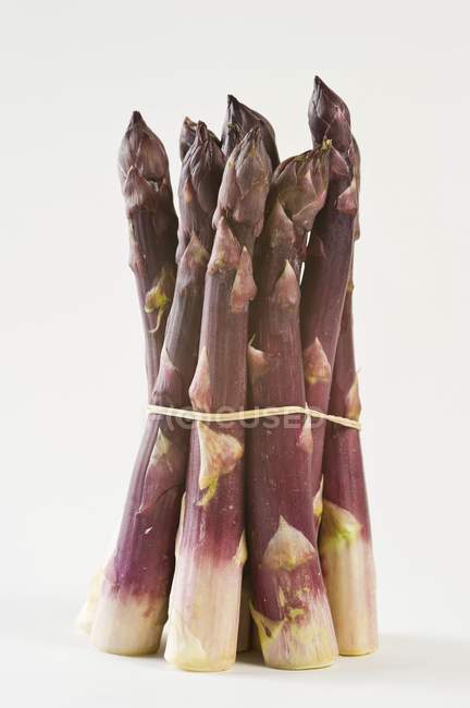 Bunch of purple asparagus — Stock Photo