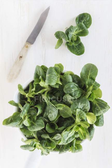 Кукурудзяний салат у горщику — стокове фото
