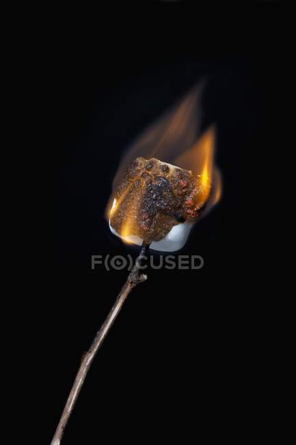 Burning Marshmallow on Stick — Stock Photo